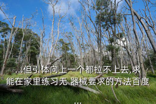 ...但引體向上一個都拉不上去,求能在家里練習無 器械要求的方法百度...