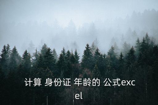  計算 身份證 年齡的 公式excel