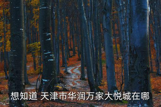 天津市大悅城BIT超市，天津大悅城的具體地址