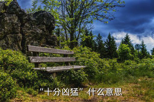 兇悍的意思,兇猛有力；早就應該有幾個勇士