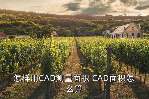 怎樣用CAD測量面積 CAD面積怎么算