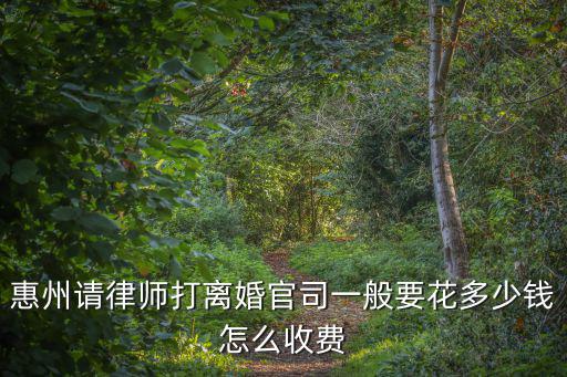 惠州請(qǐng)律師打離婚官司一般要花多少錢(qián)怎么收費(fèi)