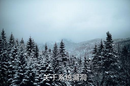 關于系統漏洞