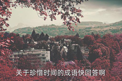 關(guān)于珍惜時(shí)間的成語(yǔ)快回答啊