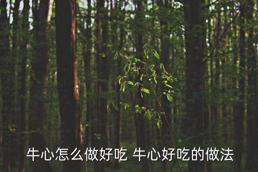  牛心怎么做好吃 牛心好吃的做法
