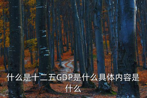 什么是十二五GDP是什么具體內(nèi)容是什么
