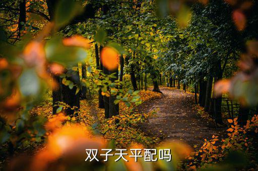 天平和雙子，雙子天平配嗎