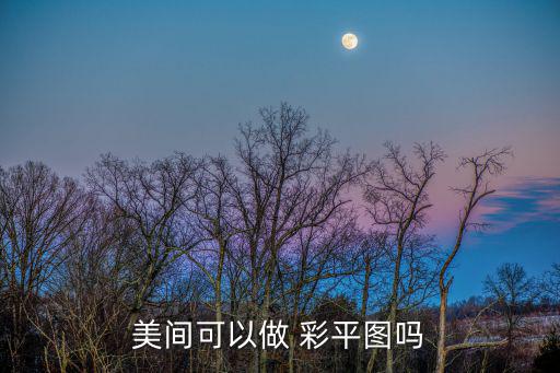 美間可以做 彩平圖嗎