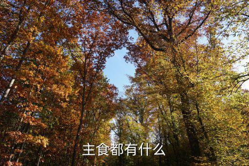 主食都有什么