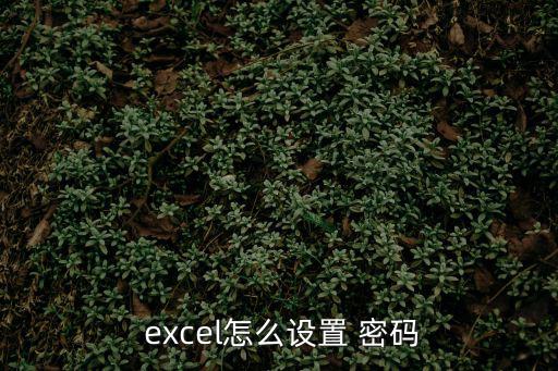  excel怎么設(shè)置 密碼