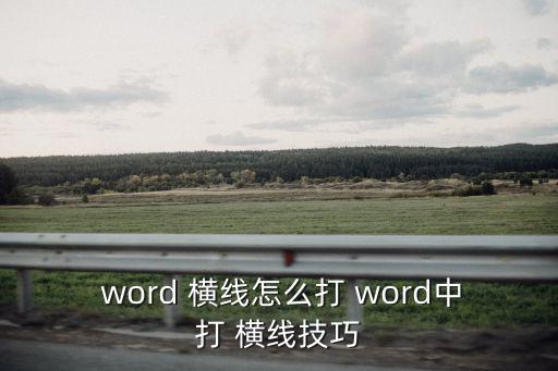  word 橫線怎么打 word中打 橫線技巧