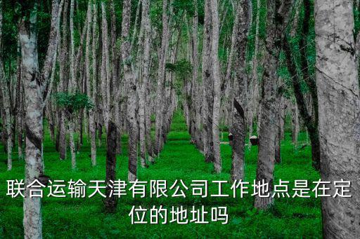 聯合運輸天津有限公司工作地點是在定位的地址嗎