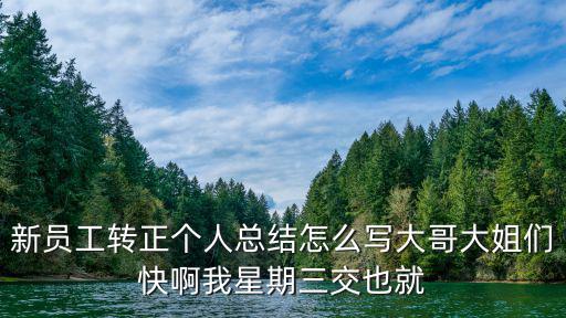 新員工轉正個人總結怎么寫大哥大姐們快啊我星期三交也就
