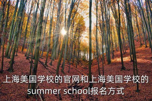 上海美國學校高中部，有沒有人知道上海美國高中