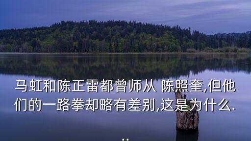陳照奎,陳正雷與陳發(fā)科的關系是第九代與第十一代關系