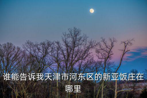 誰能告訴我天津市河東區的新亞飯莊在哪里