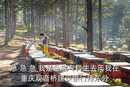 急 急 急 我是金融專科生去年我在重慶觀音橋建設(shè)銀行建東分