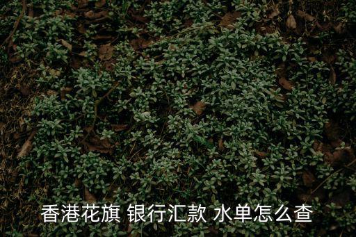 銀行水單,花旗香港銀行匯款外匯券標有匯率變動