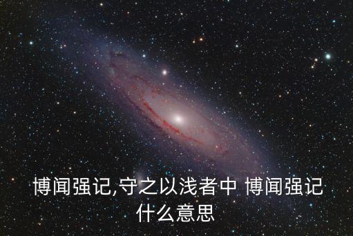  博聞強(qiáng)記,守之以淺者中 博聞強(qiáng)記什么意思