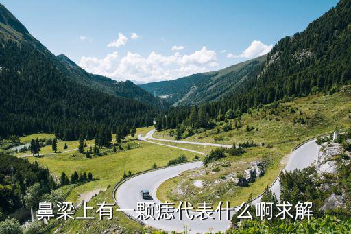 鼻梁上有一顆痣代表什么啊求解