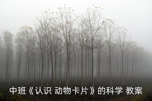 中班《認識 動物卡片》的科學 教案