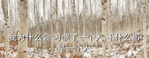 我為什么會 習(xí)慣了一個人,干什么都是一個人