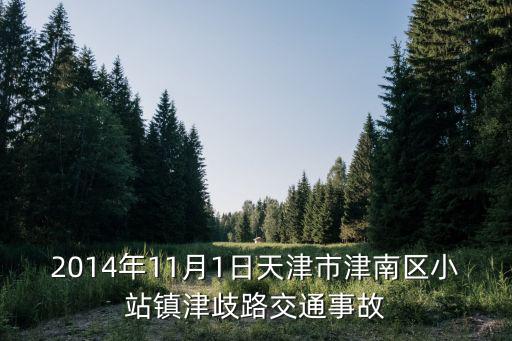 2014年11月1日天津市津南區小站鎮津歧路交通事故