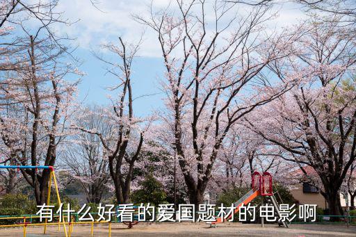 有什么好看的愛國題材的電影啊
