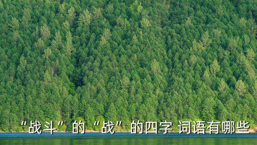 “戰(zhàn)斗”的“戰(zhàn)”的四字 詞語有哪些