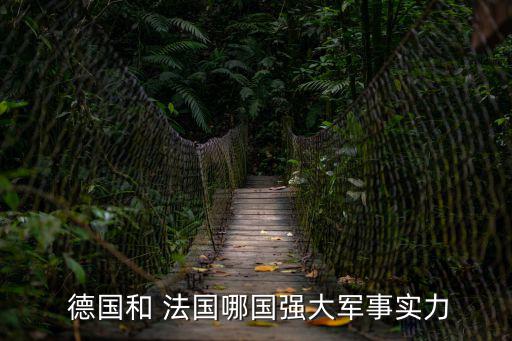  德國和 法國哪國強大軍事實力