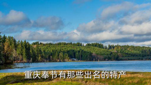 重慶市內的奉節包子，重慶寄包裹到奉節要好久時間
