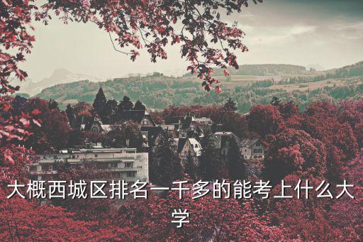 大概西城區排名一千多的能考上什么大學