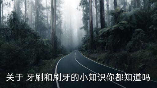牙刷圖片,希瑪龍聲波電牙刷5種刷牙模式供選擇