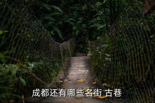 成都還有哪些名街 古巷