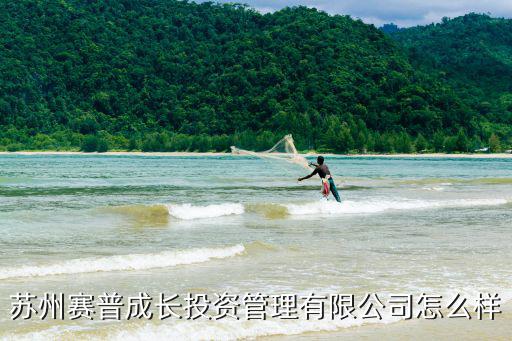 蘇州賽普成長投資管理有限公司怎么樣