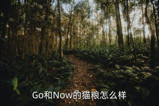 now貓糧,禁止禁水后貓咪活潑好動(dòng)可先給貓咪喝點(diǎn)溫水