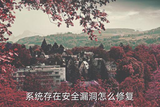 系統存在安全漏洞怎么修復