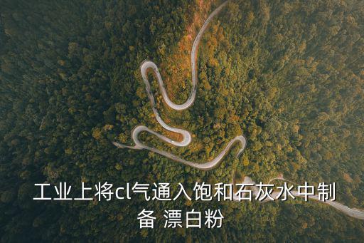  工業(yè)上將cl氣通入飽和石灰水中制備 漂白粉