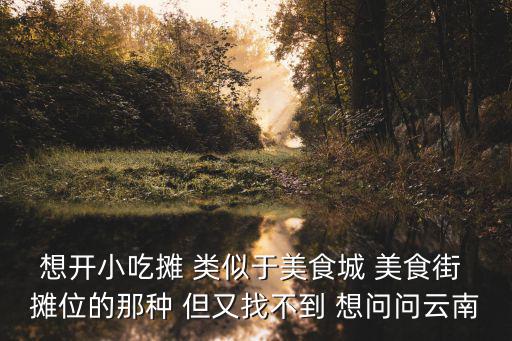 小吃城，想開(kāi)小吃攤 類似于美食城 美食街 攤位的那種 但又找不到 想問(wèn)問(wèn)云南