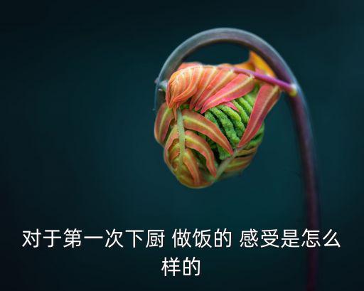 對于第一次下廚 做飯的 感受是怎么樣的