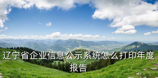 遼寧省企業信息公示系統怎么打印年度報告