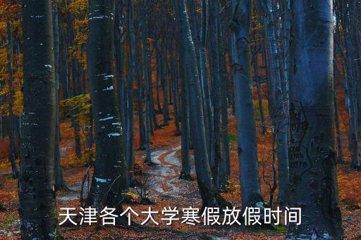 天津各個大學寒假放假時間