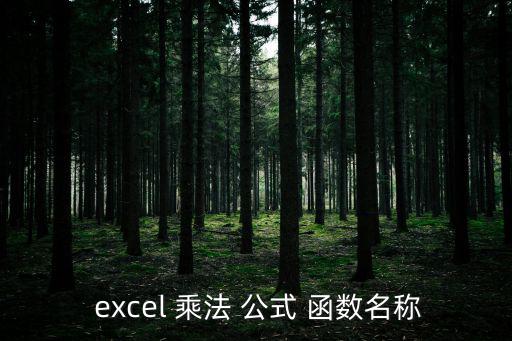  excel 乘法 公式 函數名稱