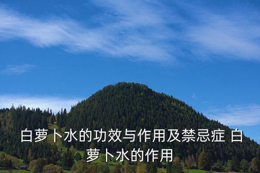  白蘿卜水的功效與作用及禁忌癥 白蘿卜水的作用