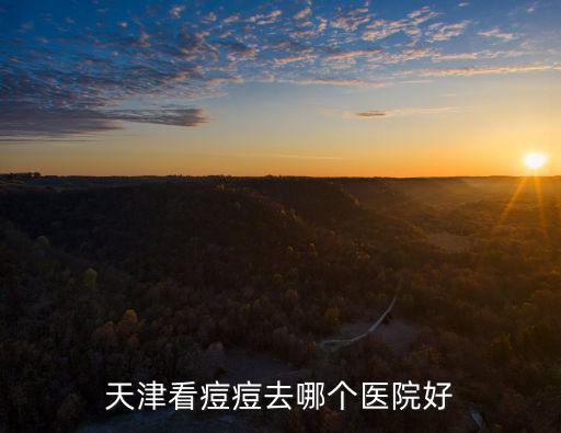 天津市河西免費(fèi)問(wèn)皮膚科醫(yī)生，天津市皮膚科專家