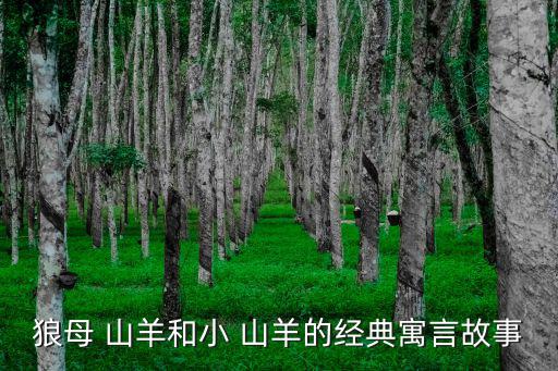 母山羊,小母羊過早配種對母羊生長發育有負面影響