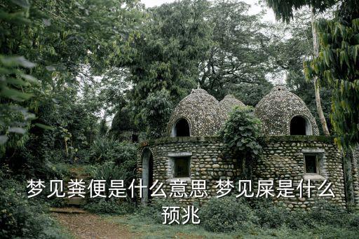 夢見糞便是什么意思 夢見屎是什么 預兆