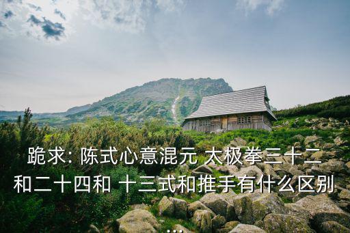 陳式太極拳十三式,正宗陳式太極拳24風格