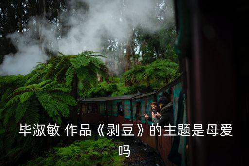  畢淑敏 作品《剝豆》的主題是母愛嗎