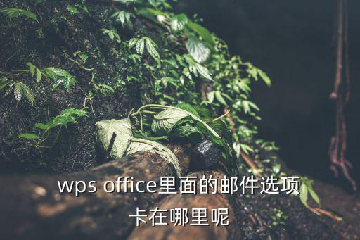 wps office里面的郵件選項卡在哪里呢
